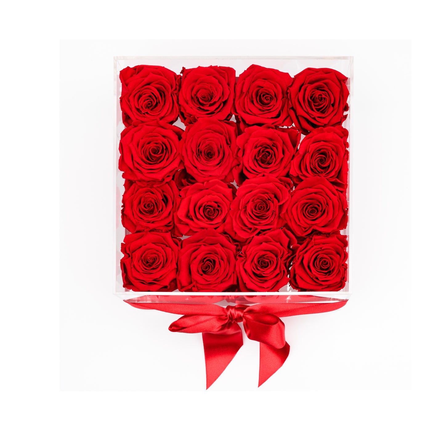 Acrylic box - Medium 16 roses