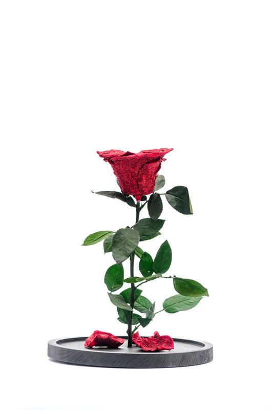 Beauty & the Beast - Diamond collection Big