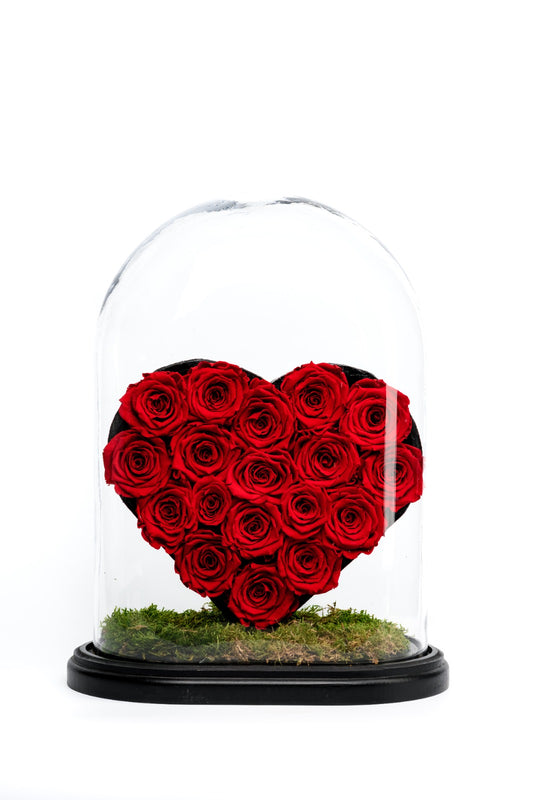 La vie est belle - Heart collection exclusief